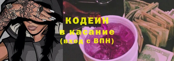 прущие грибы Михайловск