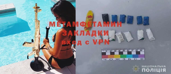 прущие грибы Михайловск