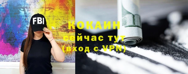 прущие грибы Михайловск