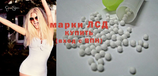 прущие грибы Михайловск