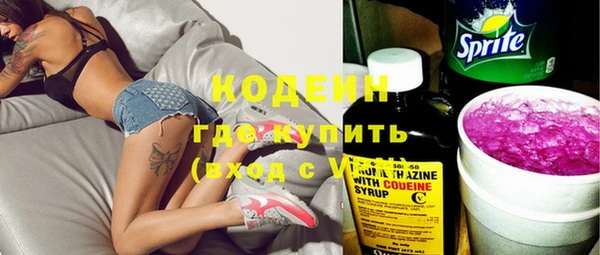 прущие грибы Михайловск