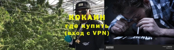 эйфоретик Михайлов