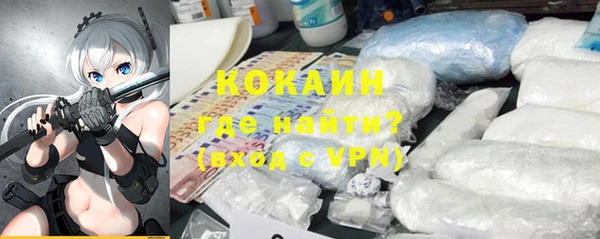 прущие грибы Михайловск