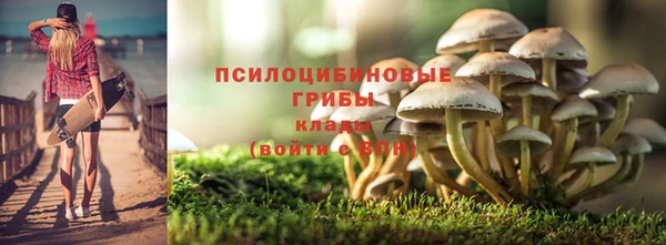 a pvp Михайловка