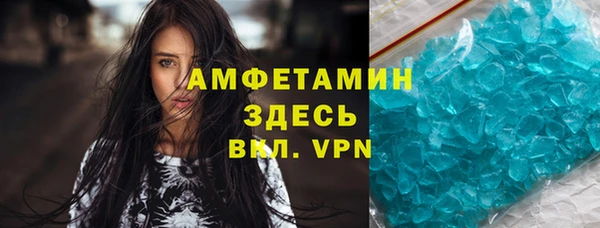 прущие грибы Михайловск