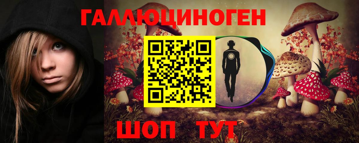 Псилоцибиновые грибы Psilocybine cubensis Туапсе